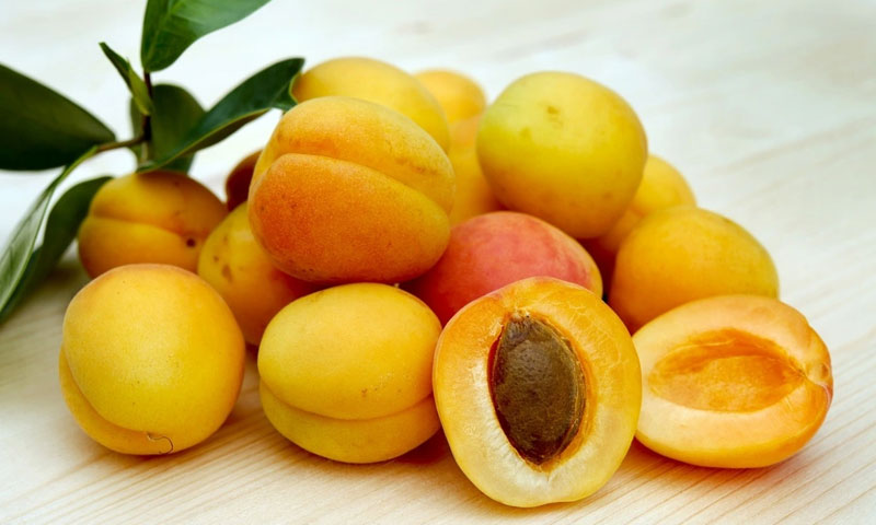 o-mai-mo-gung-dac-san-ha-noi-xua-qua-que