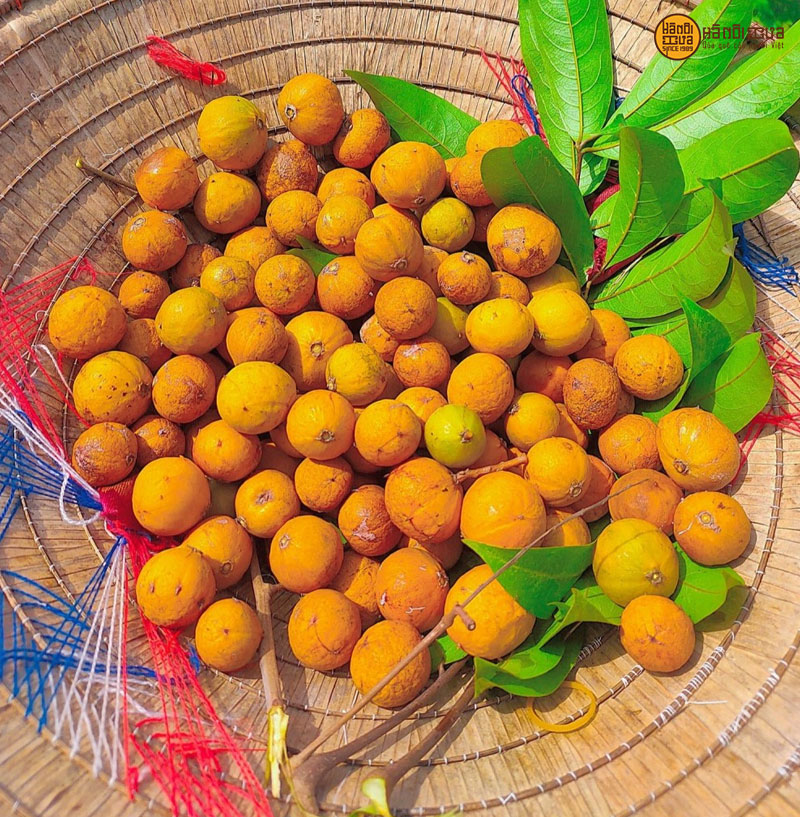 sau-chin-deo-ha-noi-xua